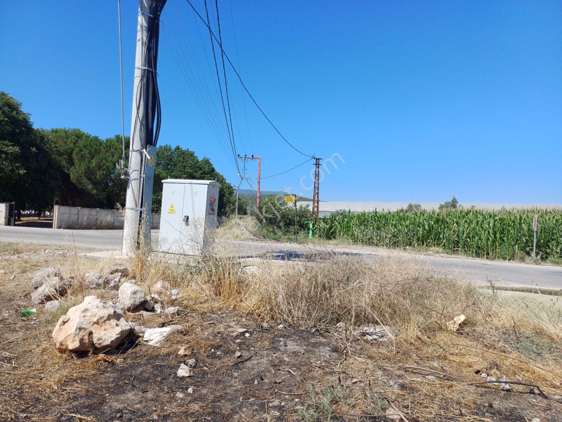 İzmir Menderes Çilemede Ulaşım Önünde 1+1 Evi Elektrik Su Abonelikleri 900 M2 Arsa - Görsel 34