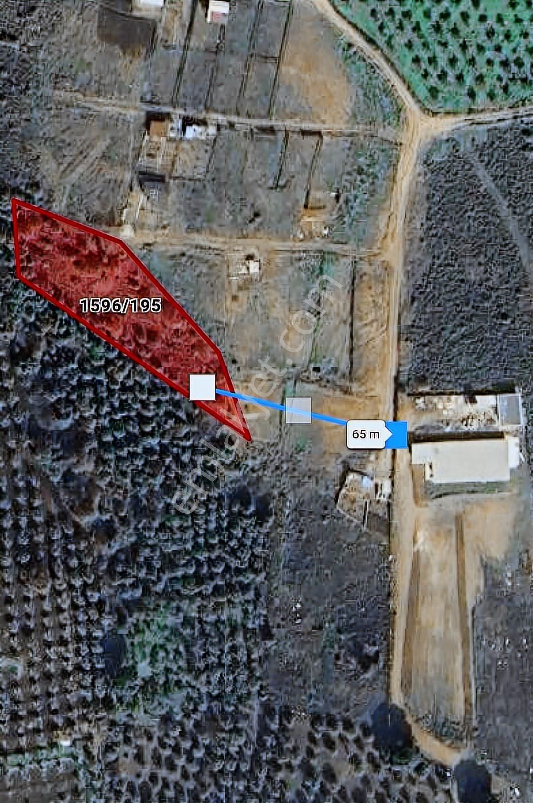 Bursa Gemlik Narlı'da Toplam 2.047 M2 Yatırımlık Zeytinlik