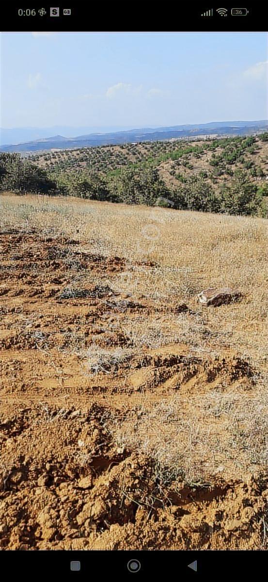 Salihli Beşyol Emlaktan Satılık 530 Dönüm Arazi - Görsel 9