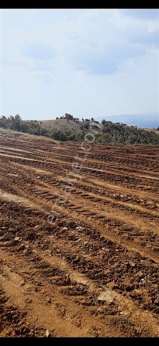Salihli Beşyol Emlaktan Satılık 530 Dönüm Arazi - Görsel 10