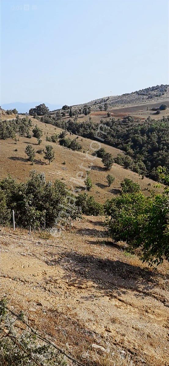 Salihli Beşyol Emlaktan Satılık 530 Dönüm Arazi - Görsel 2