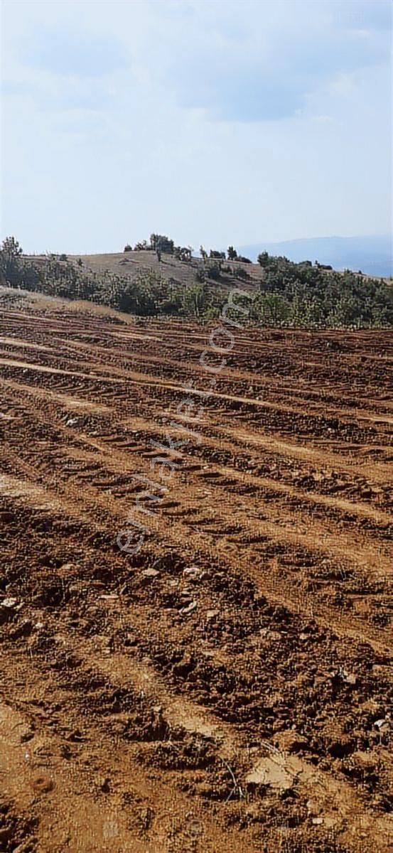 Salihli Beşyol Emlaktan Satılık 530 Dönüm Arazi