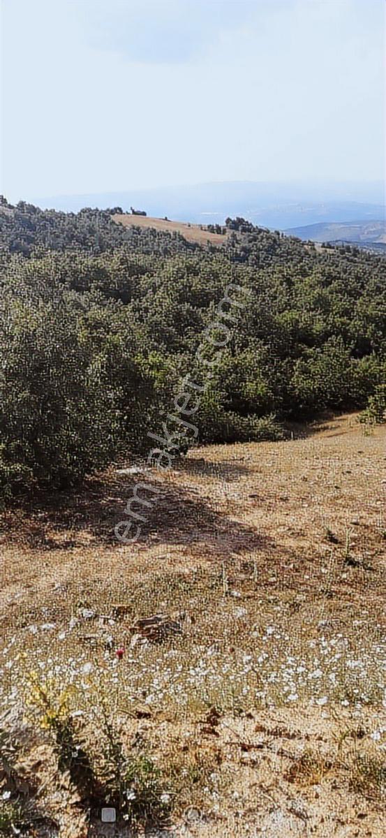 Salihli Beşyol Emlaktan Satılık 530 Dönüm Arazi - Görsel 8