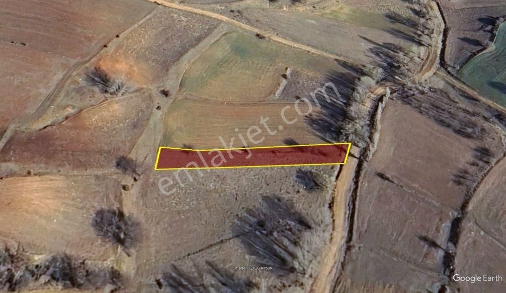 Konya / Doğanhisar / Kemer Mahallesinde 801 M² Müstakil Tapulu Tarla - Görsel 10