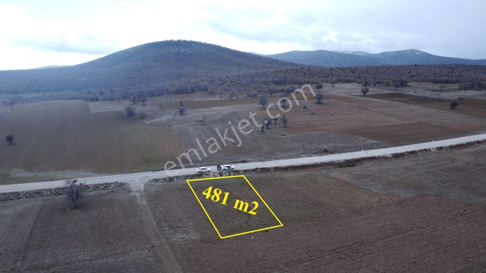 Konya / Güneysınır / Ağras Mahallesinde 481 M² Müstakil Tapulu Tarla - Görsel 6
