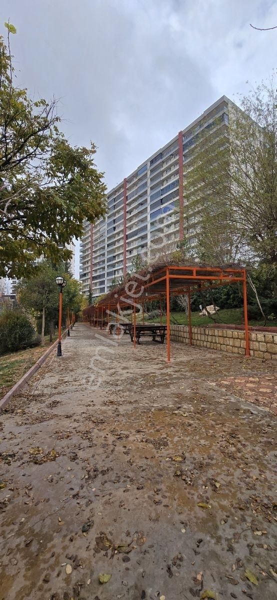 Çözüm'den Mavişehir 1 Etap'ta Oturmaya Hazır Daire... - Görsel 33