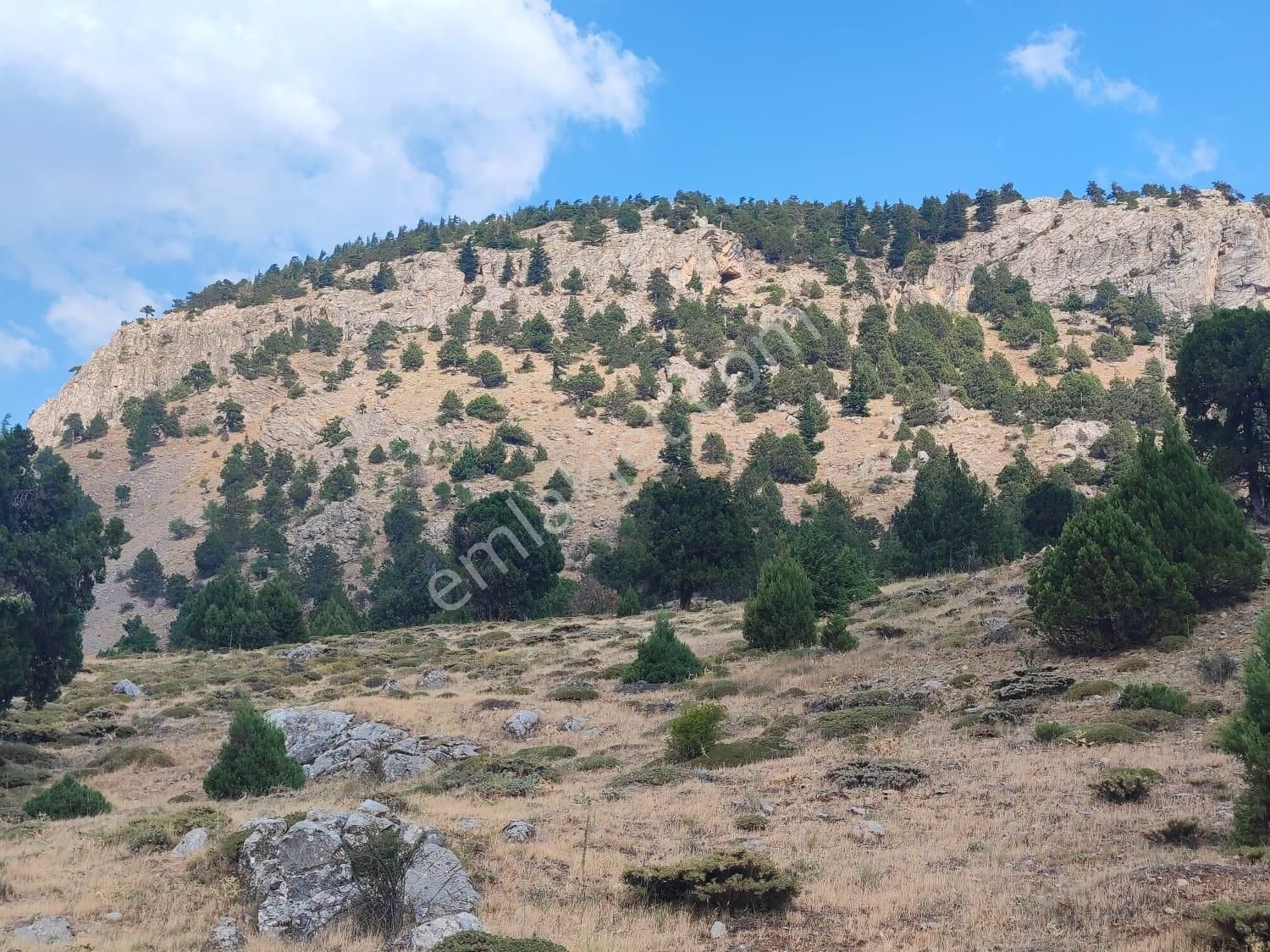 Kar Emlaktan Hamidiye Köyünde 460 M2 Satılık Arsa - Görsel 2