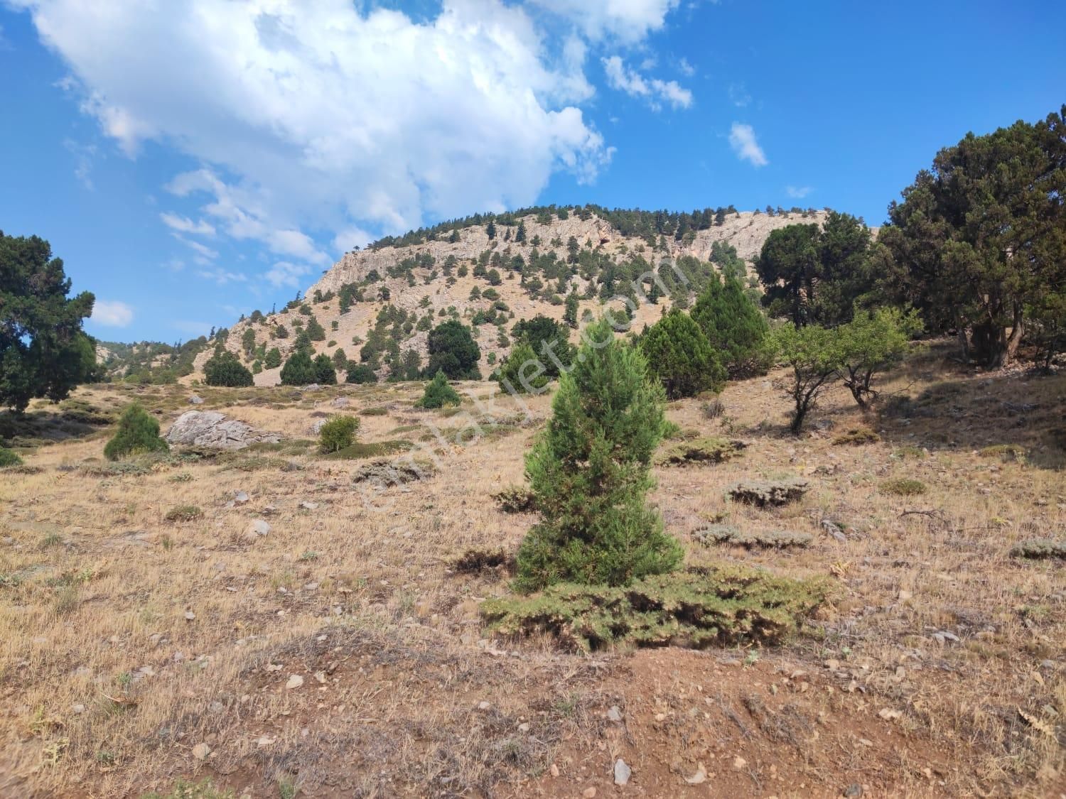 Kar Emlaktan Hamidiye Köyünde 460 M2 Satılık Arsa - Görsel 15