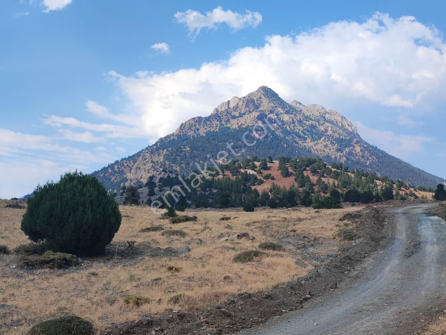 Kar Emlaktan Hamidiye Köyünde 460 M2 Satılık Arsa - Görsel 7