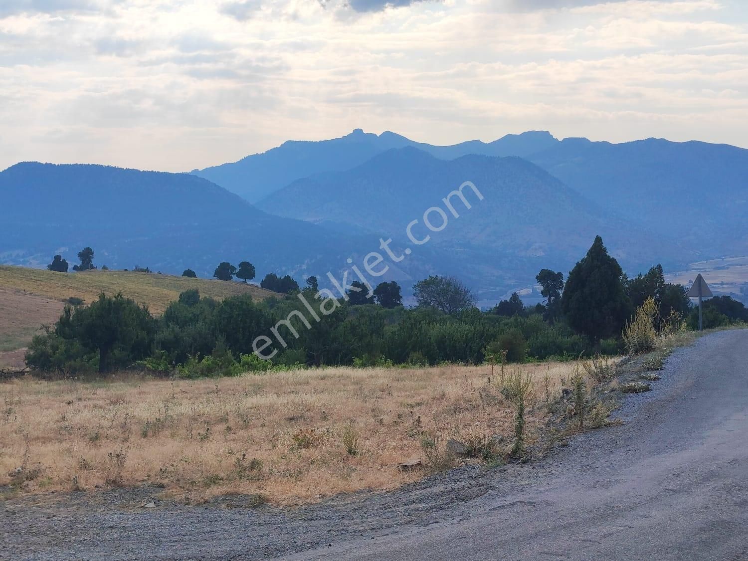 Kar Emlaktan Hamidiye Köyünde 460 M2 Satılık Arsa - Görsel 5