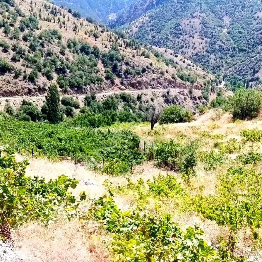 Kar Emlaktan Ömerli Köyünde 1400 M2 Satılık Bahçe - Görsel 14