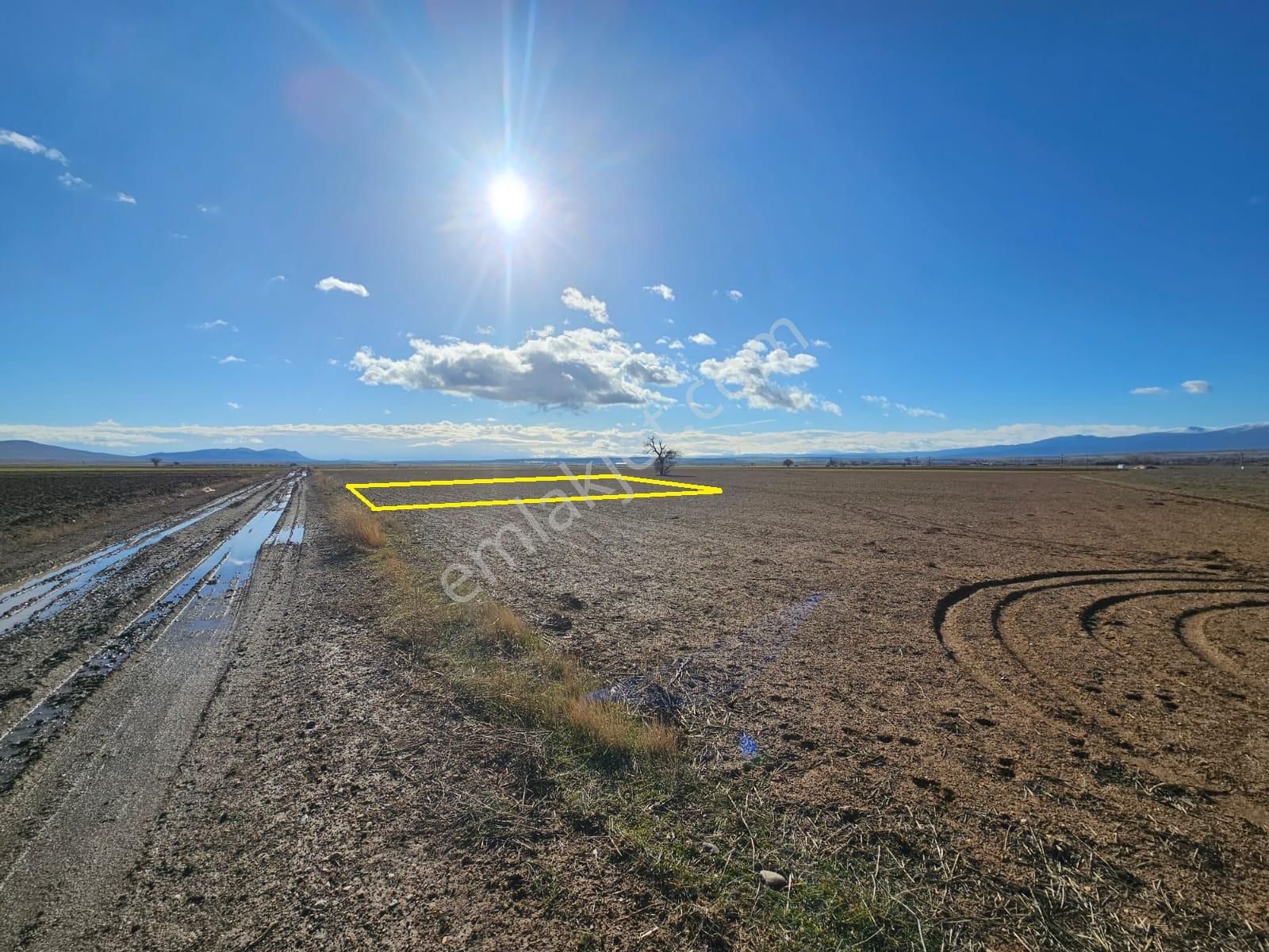 Hatunsarayın En Güzel Noktasında 4.274 M² Mustakil Tapulu Bahçe