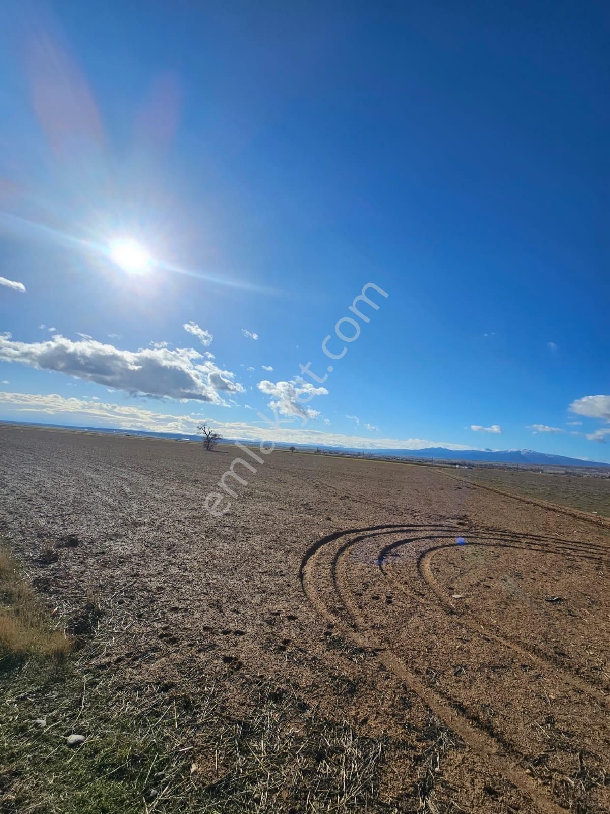 Hatunsarayın En Güzel Noktasında 4.274 M² Mustakil Tapulu Bahçe