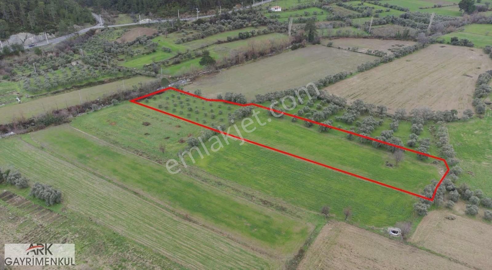 Muğla Gevenes'te Akarsuya Komşu 5.987 M2 Satılık Zeytinli Tarla - Görsel 3