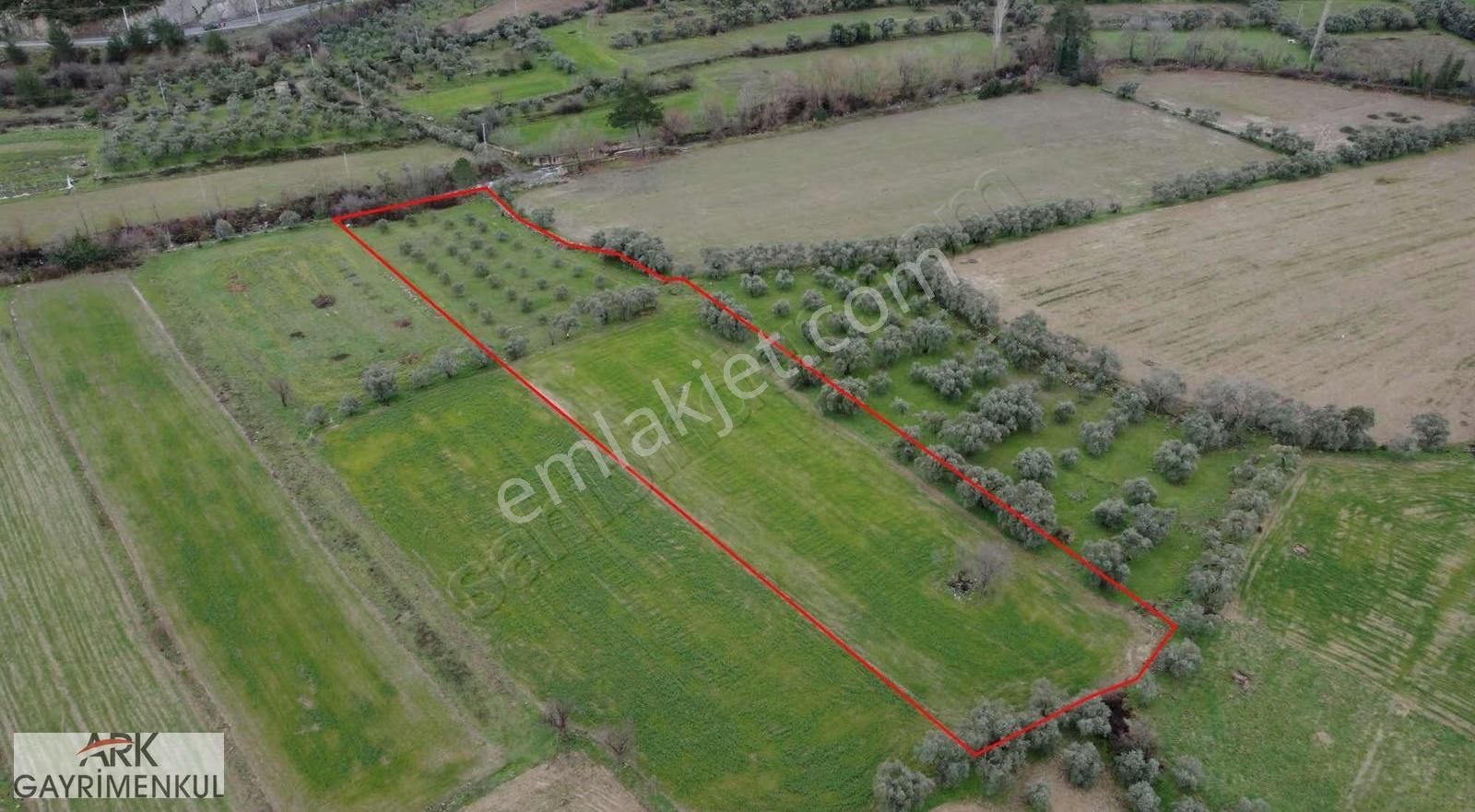 Muğla Gevenes'te Akarsuya Komşu 5.987 M2 Satılık Zeytinli Tarla - Görsel 2