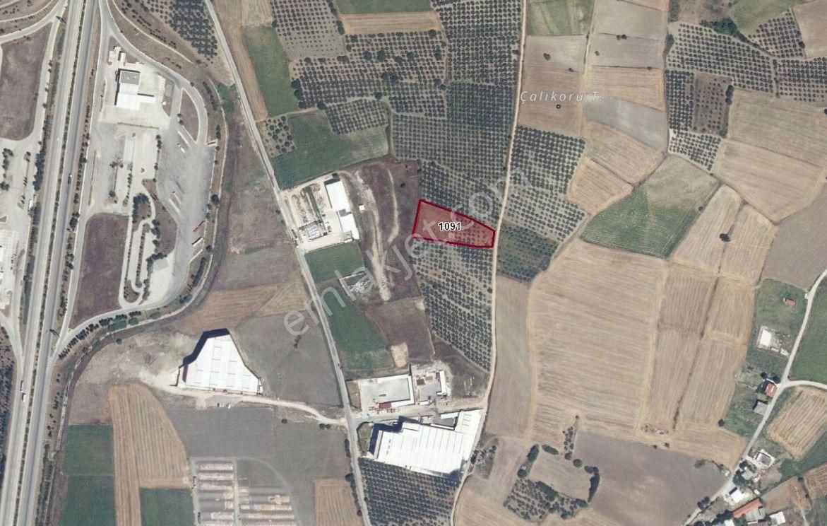 Büyükbalıklı Köyünde Yola Yakın Arsa Detaylar Açıklamada