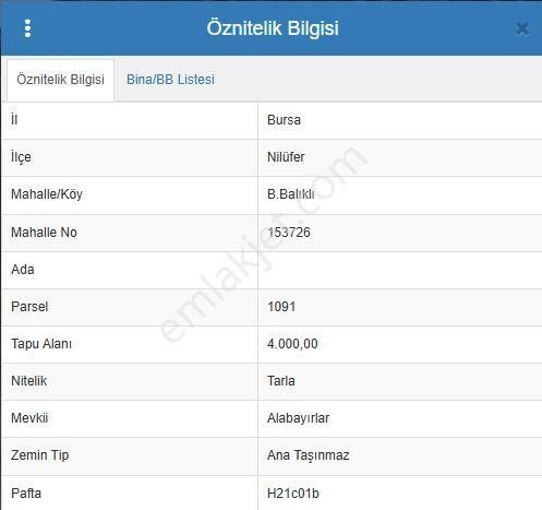 Büyükbalıklı Köyünde Yola Yakın Arsa Detaylar Açıklamada - Görsel 3