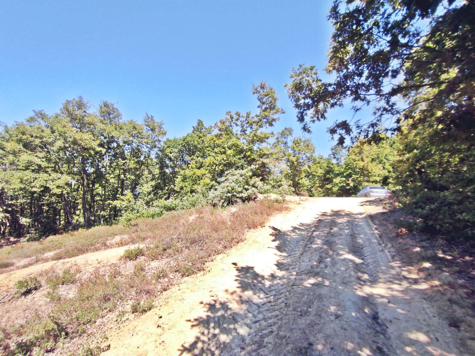 Yenişehir Beypınar'da Yolu Olan 6950 ,m2-göl Manzaralı Tarla - Görsel 5