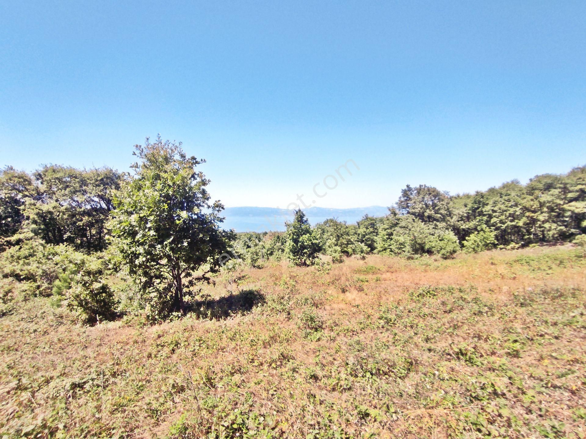 Yenişehir Beypınar'da Yolu Olan 6950 ,m2-göl Manzaralı Tarla - Görsel 9