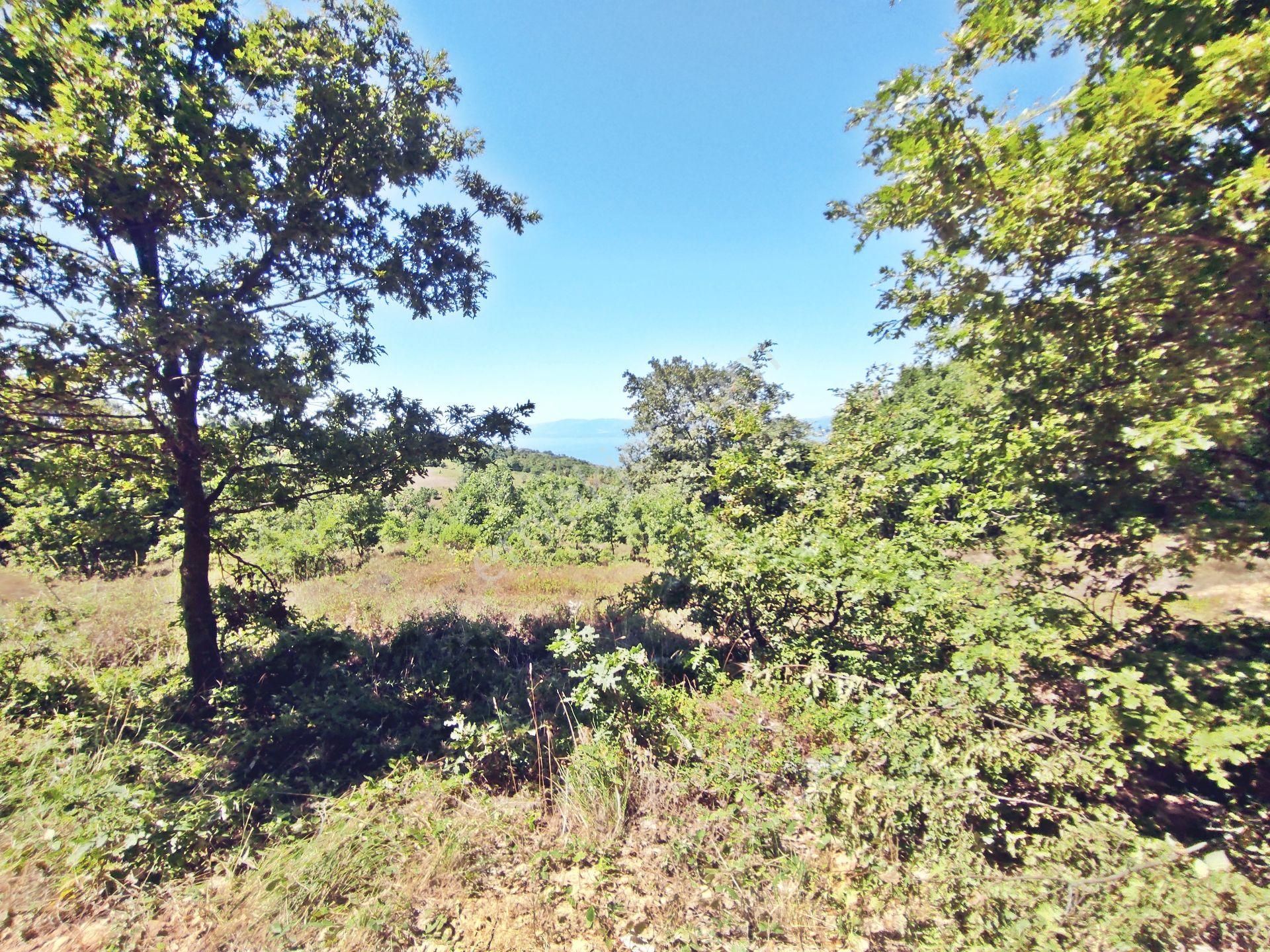 Yenişehir Beypınar'da Yolu Olan 6950 ,m2-göl Manzaralı Tarla - Görsel 3