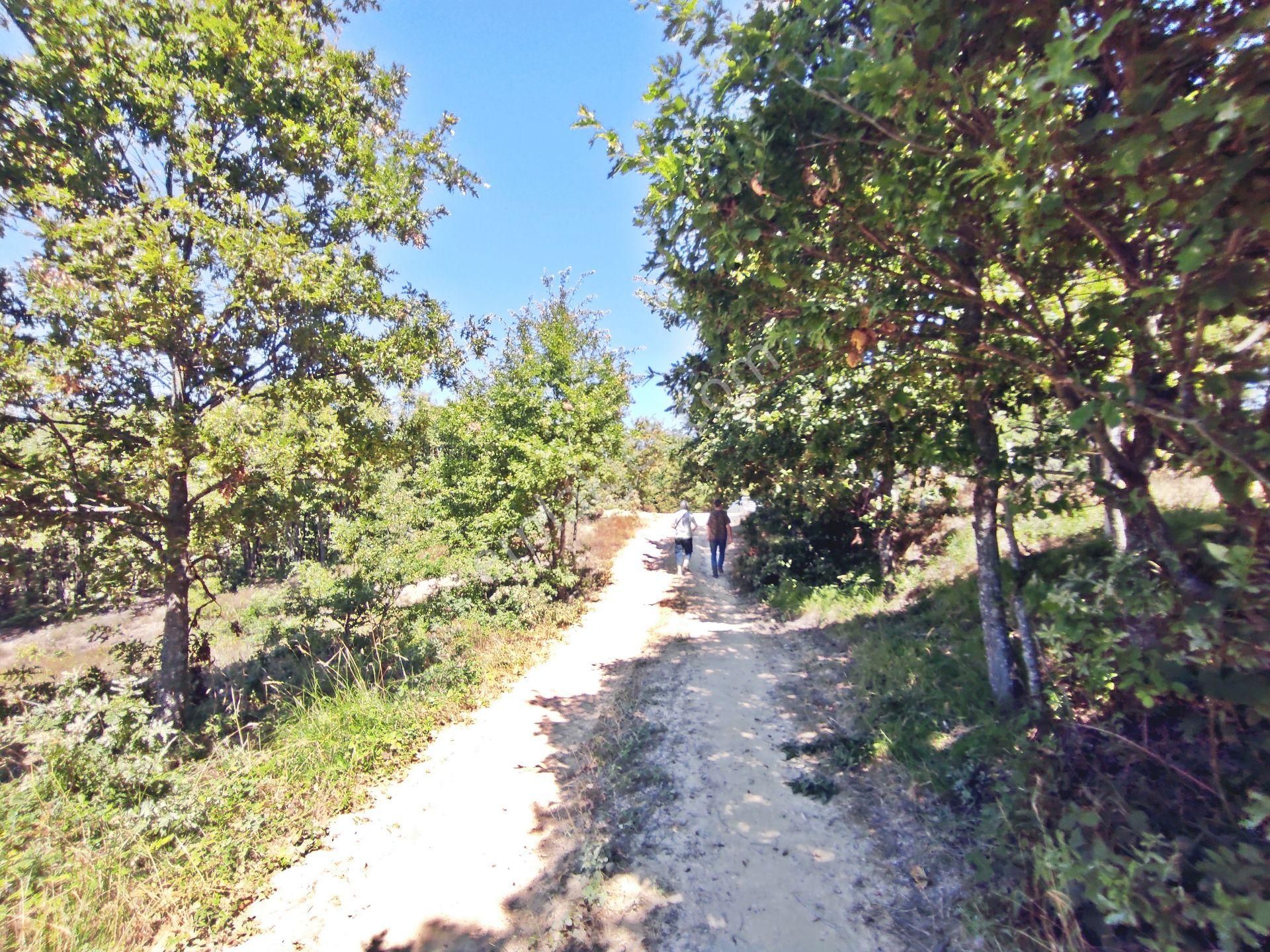 Yenişehir Beypınar'da Yolu Olan 6950 ,m2-göl Manzaralı Tarla - Görsel 16