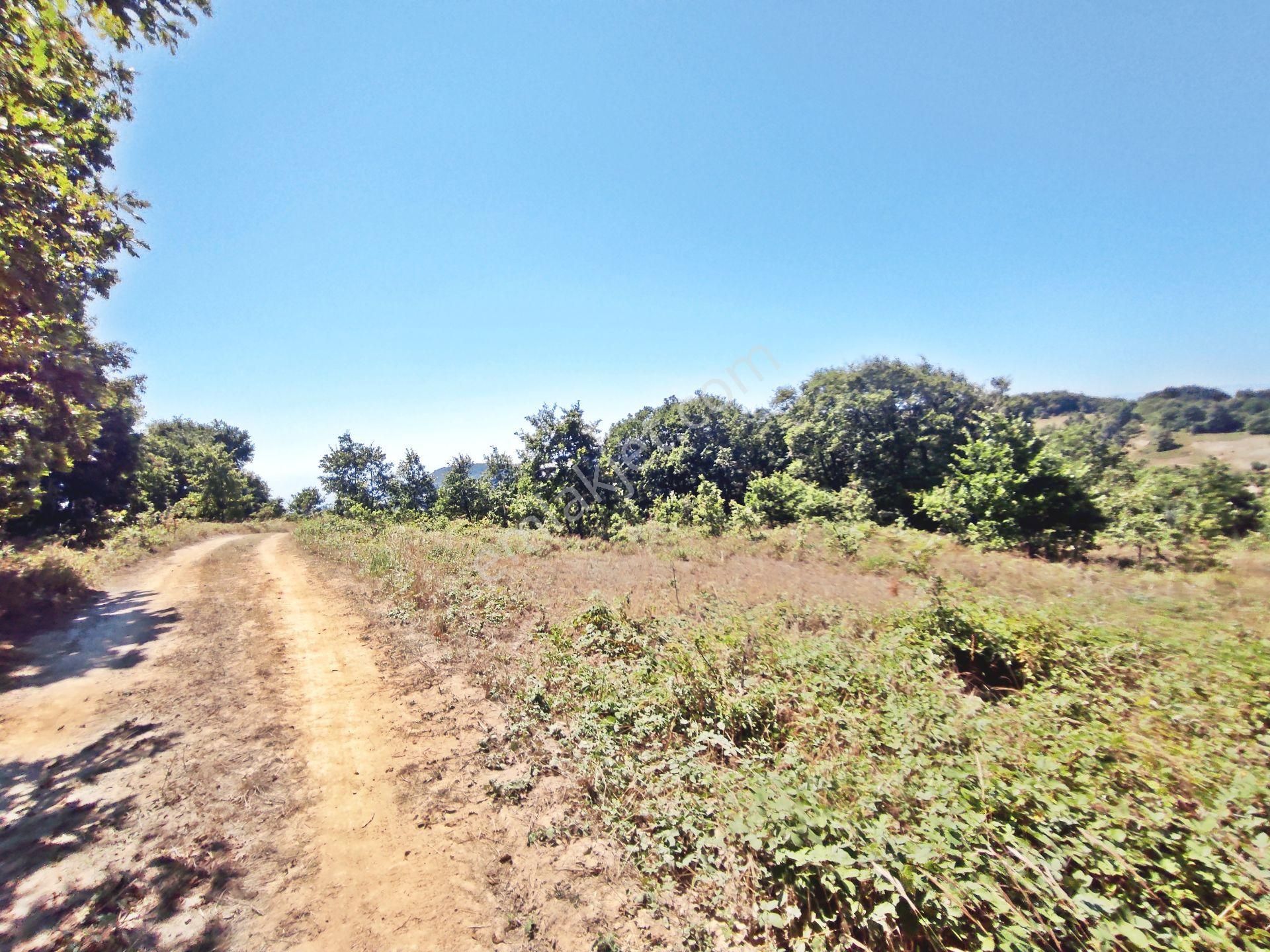 Yenişehir Beypınar'da Yolu Olan 6950 ,m2-göl Manzaralı Tarla - Görsel 8