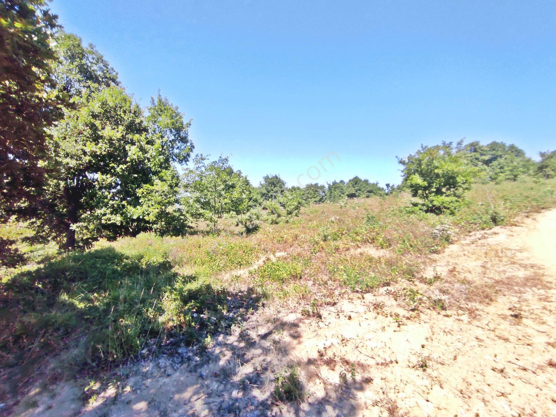 Yenişehir Beypınar'da Yolu Olan 6950 ,m2-göl Manzaralı Tarla - Görsel 12