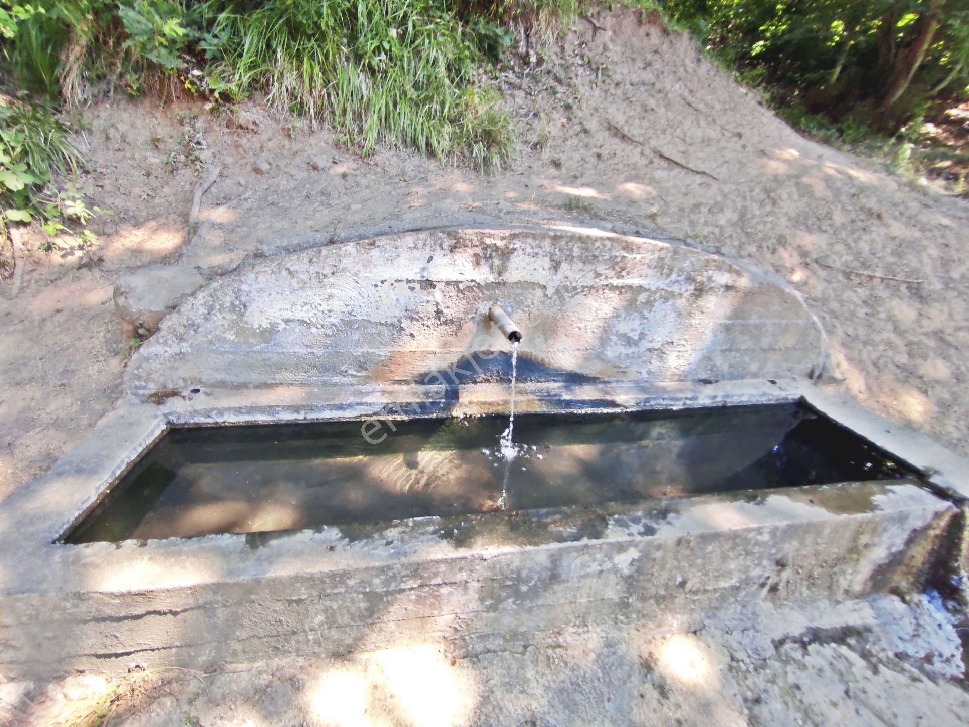 Yenişehir Beypınar'da Yolu Olan 6950 ,m2-göl Manzaralı Tarla - Görsel 34