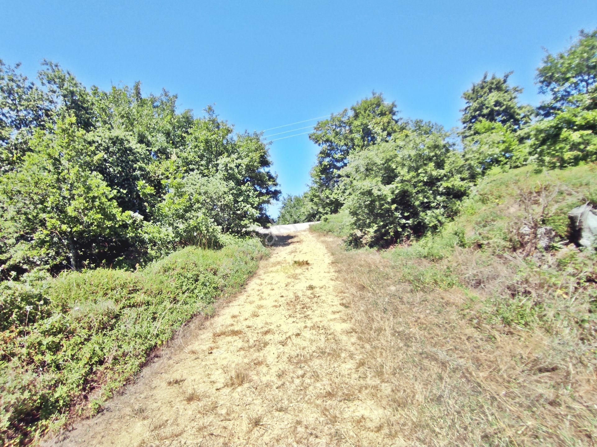 Yenişehir Beypınar'da Yolu Olan 6950 ,m2-göl Manzaralı Tarla - Görsel 20