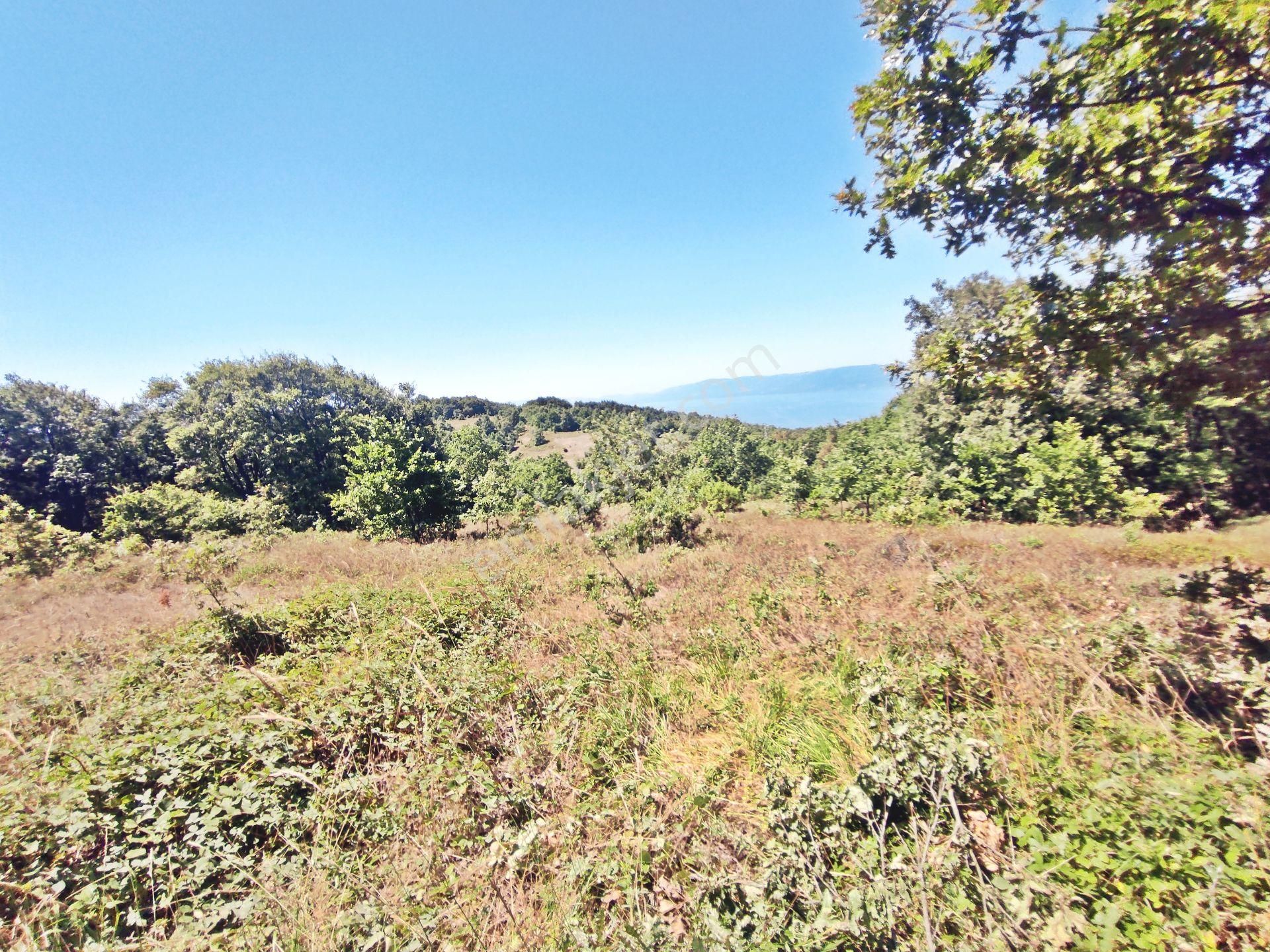 Yenişehir Beypınar'da Yolu Olan 6950 ,m2-göl Manzaralı Tarla - Görsel 4