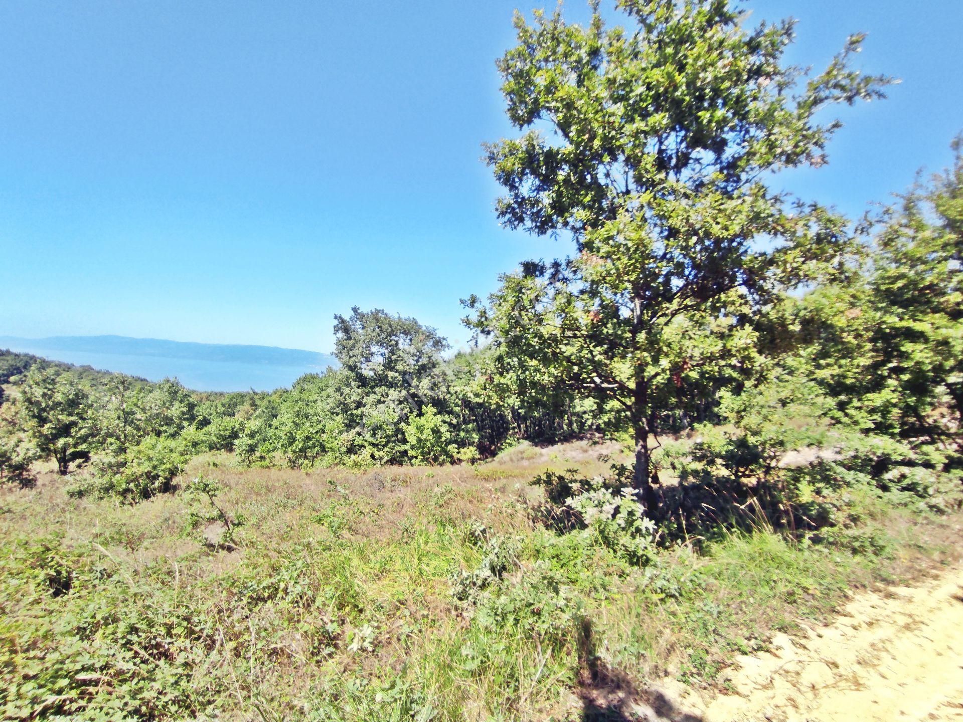 Yenişehir Beypınar'da Yolu Olan 6950 ,m2-göl Manzaralı Tarla - Görsel 15