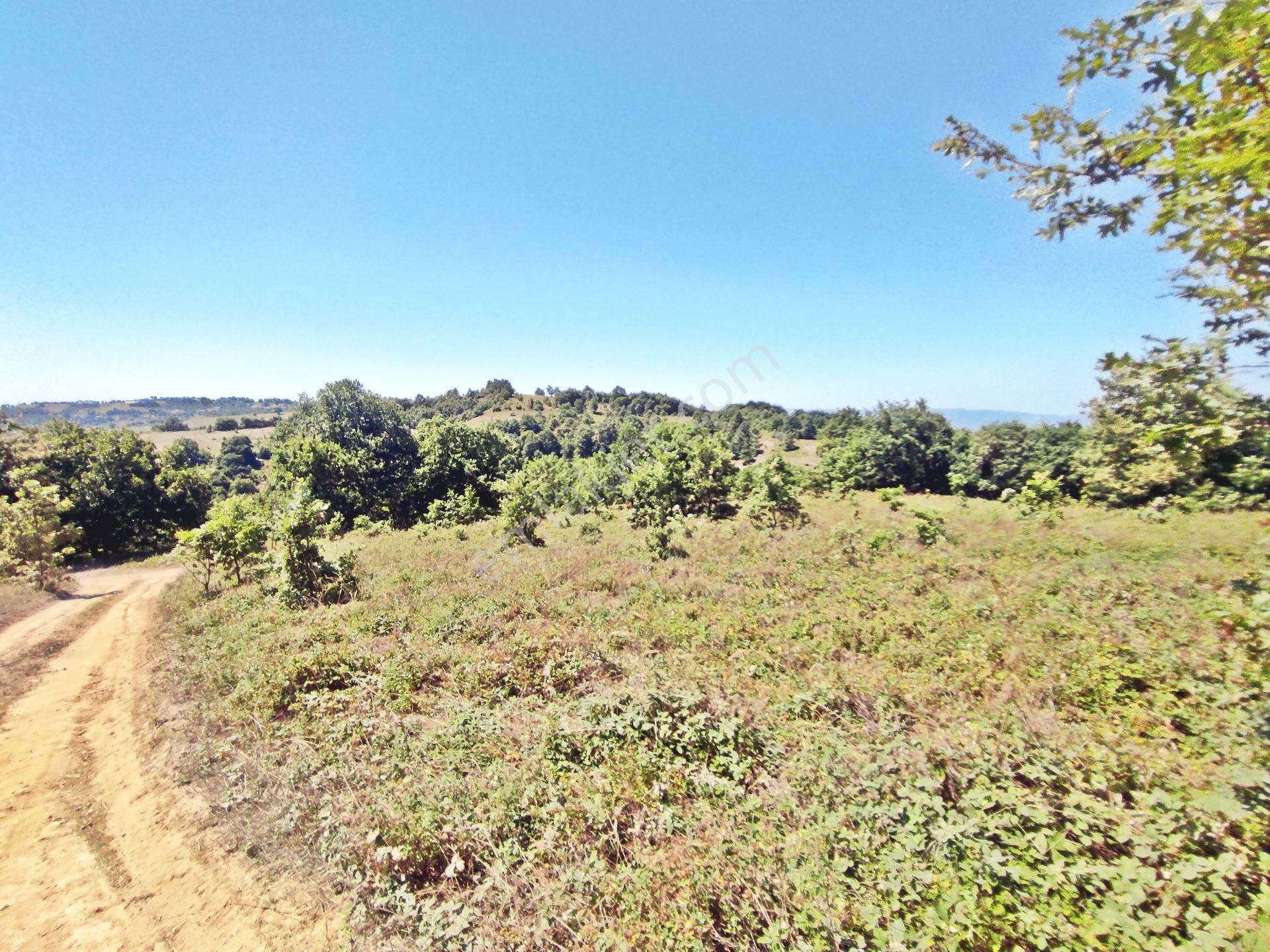 Yenişehir Beypınar'da Yolu Olan 6950 ,m2-göl Manzaralı Tarla - Görsel 19