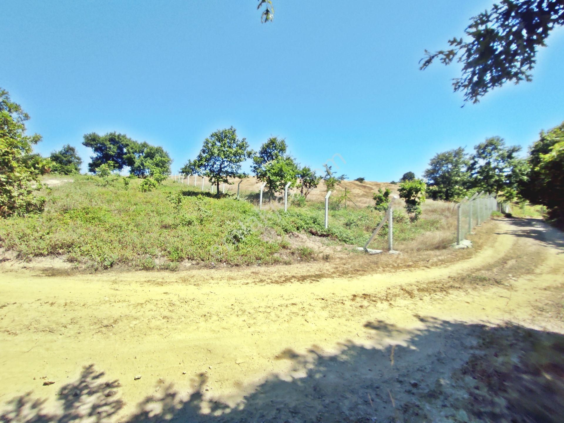 Yenişehir Beypınar'da Yolu Olan 6950 ,m2-göl Manzaralı Tarla - Görsel 14