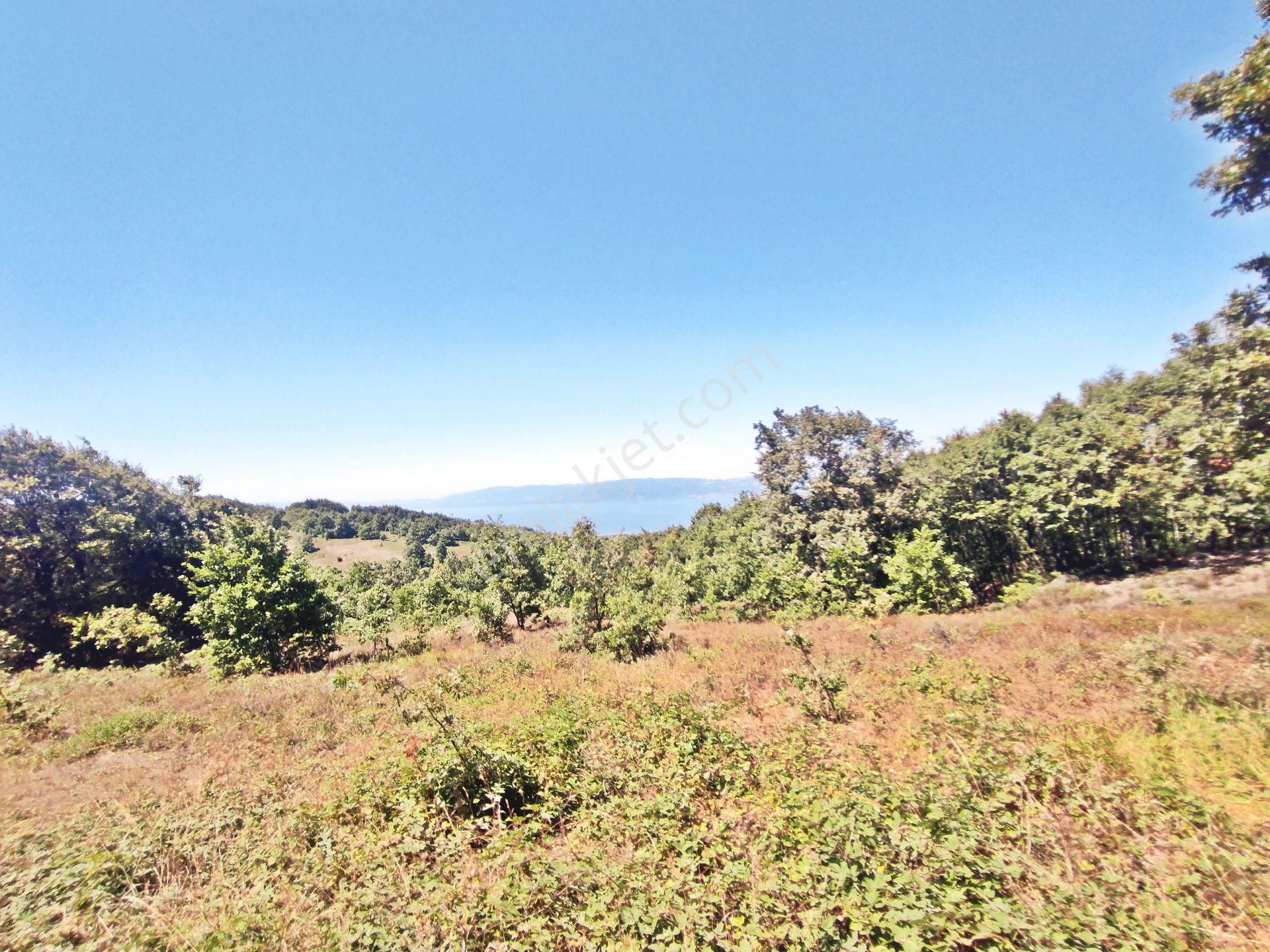 Yenişehir Beypınar'da Yolu Olan 6950 ,m2-göl Manzaralı Tarla