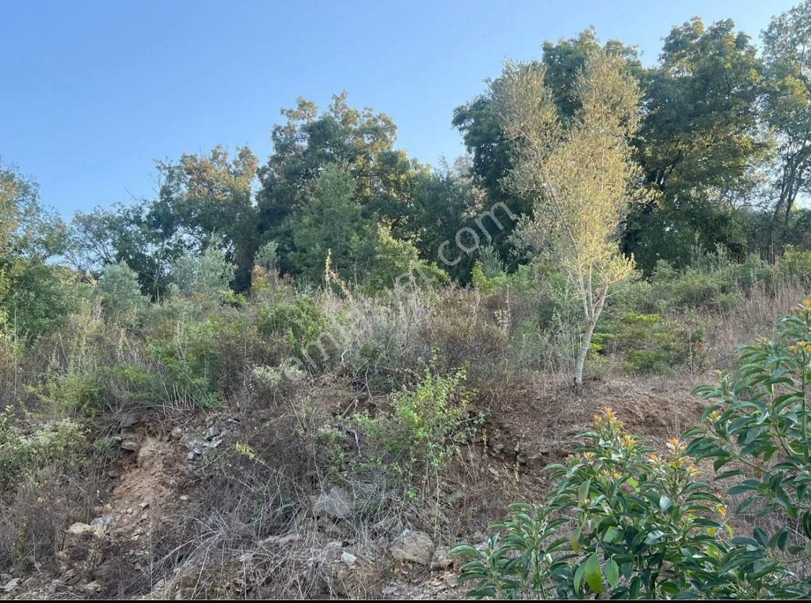 Yeşilyurt Mah.satılık Büyük Arazi - Görsel 4