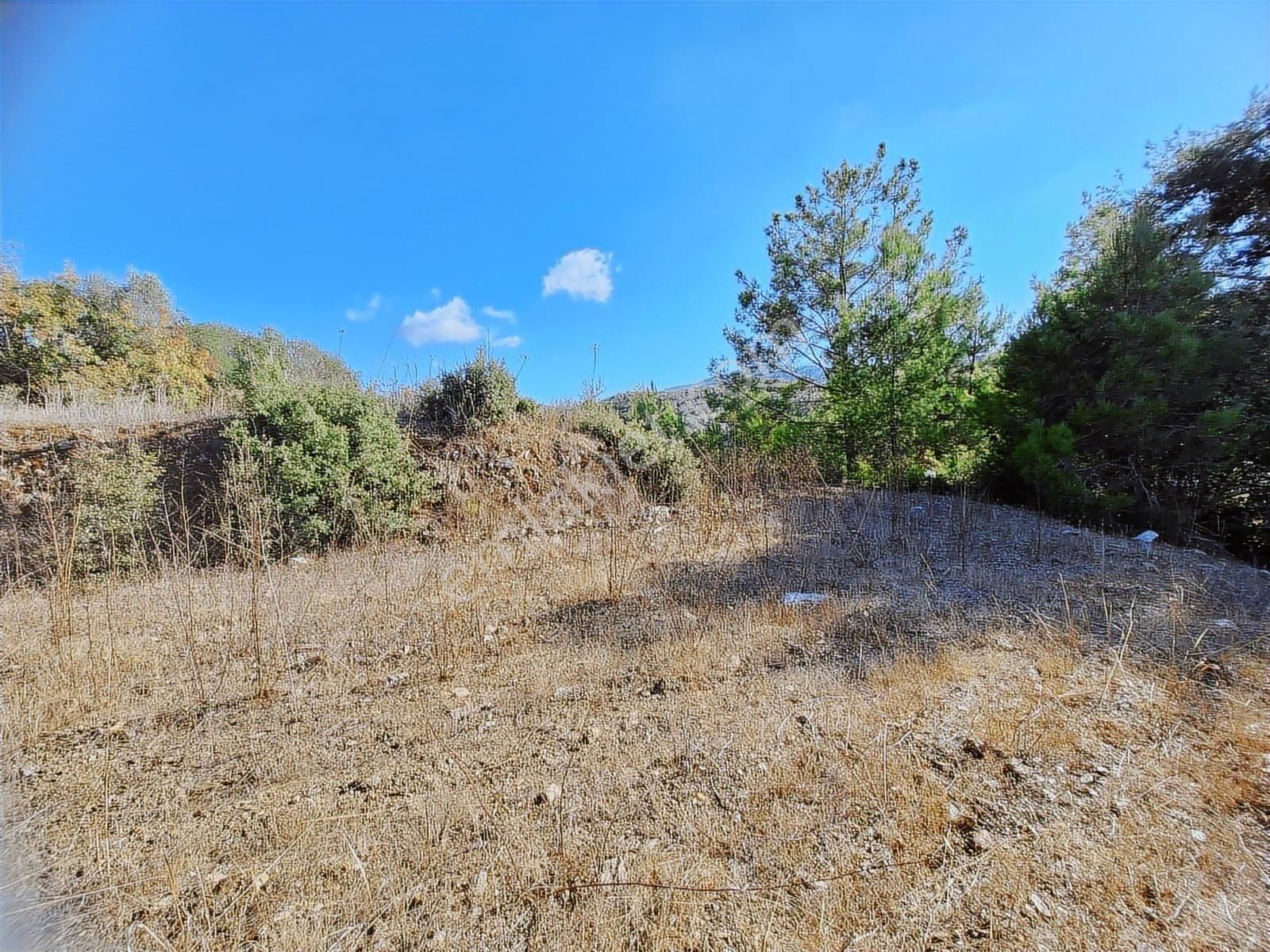 Acil Satılık Tarla - Alanya Aytemiz Tesisleri Yakını-hocalar Mh. - Görsel 12