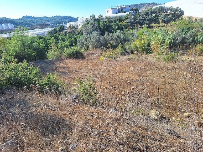 Acil Satılık Tarla - Alanya Aytemiz Tesisleri Yakını-hocalar Mh. - Görsel 4