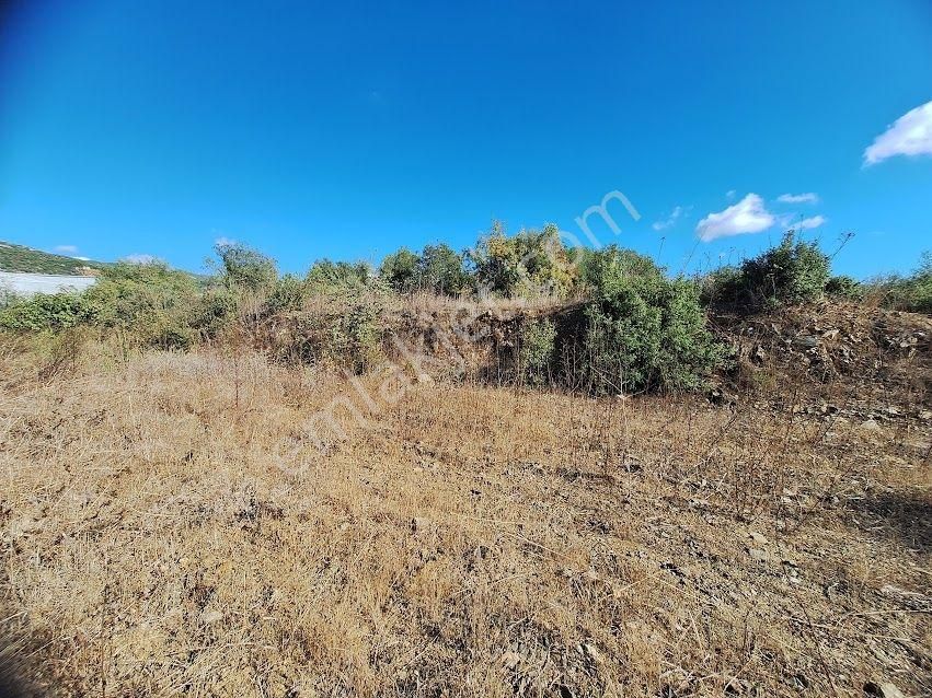 Acil Satılık Tarla - Alanya Aytemiz Tesisleri Yakını-hocalar Mh. - Görsel 2