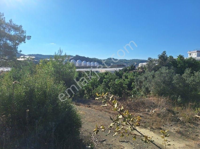 Acil Satılık Tarla - Alanya Aytemiz Tesisleri Yakını-hocalar Mh. - Görsel 3