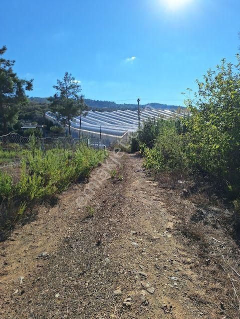Acil Satılık Tarla - Alanya Aytemiz Tesisleri Yakını-hocalar Mh. - Görsel 10