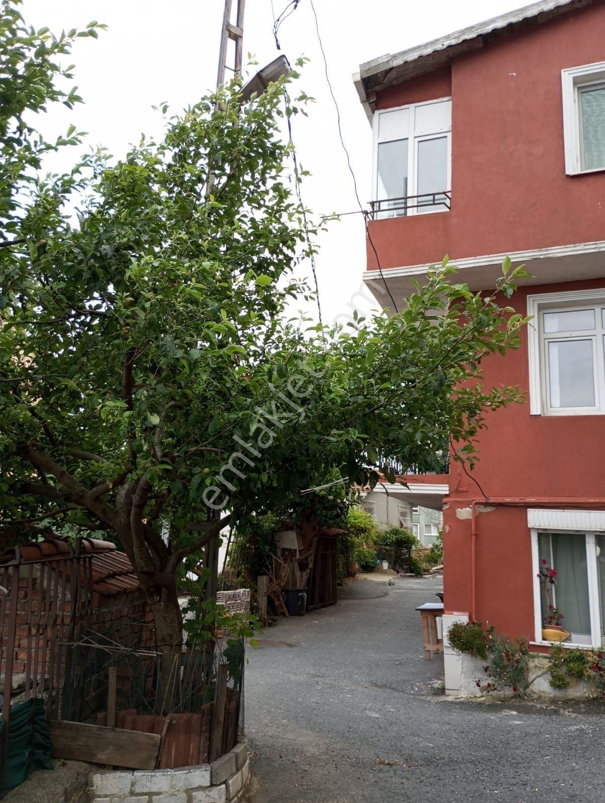 İstanbul Boğaz Manzaralı 3 Katlı Müstakil Bina - Görsel 19