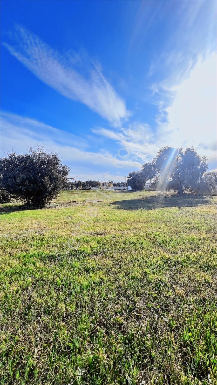 Çeşme Musalla Da 7500 M2 Deniz Manzaralı Tarla - Görsel 2