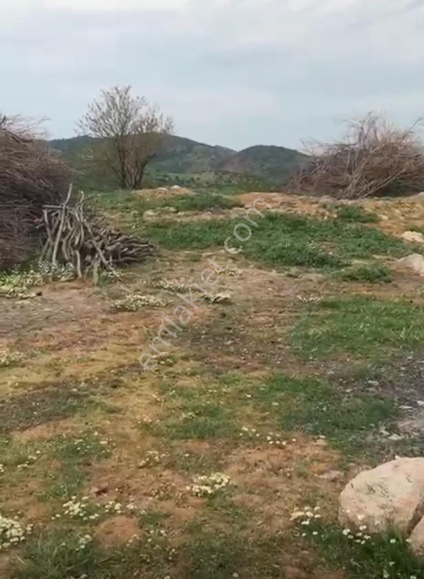 İzmir Dikili Demirtaş 2 Adet Yatırımlık Arsa - Görsel 6