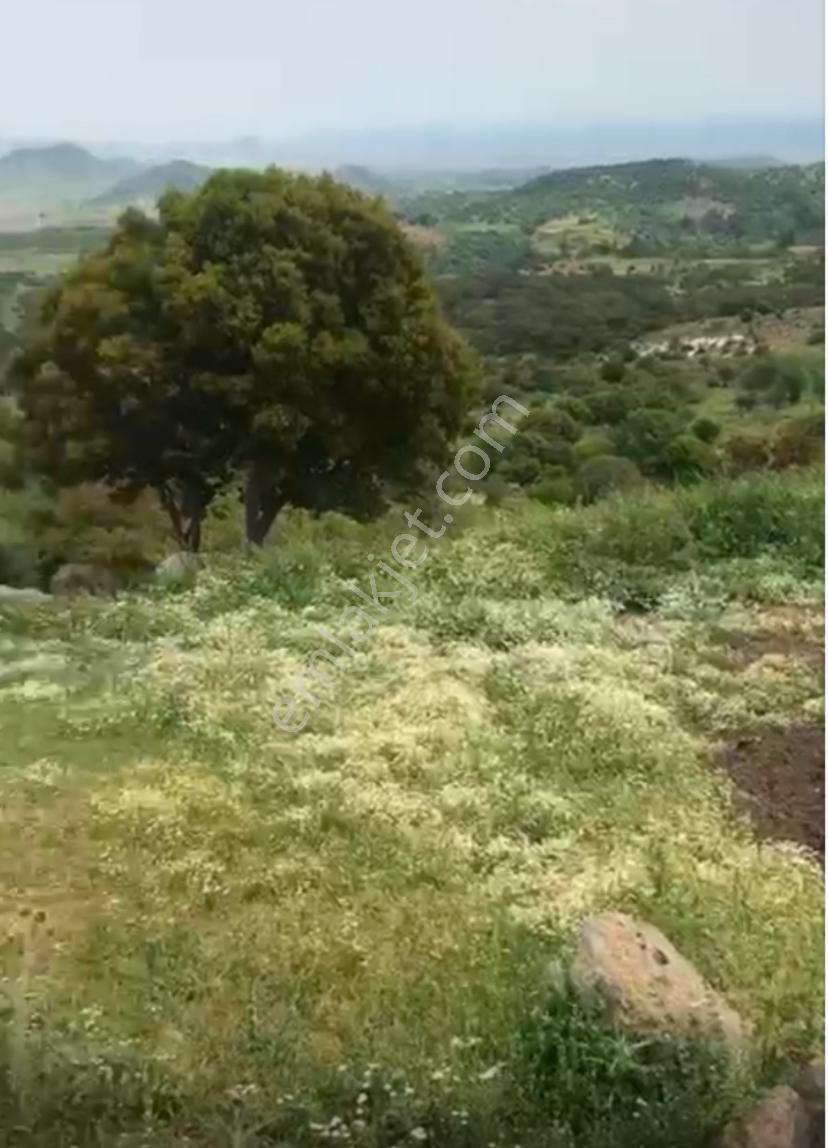 İzmir Dikili Demirtaş 2 Adet Yatırımlık Arsa