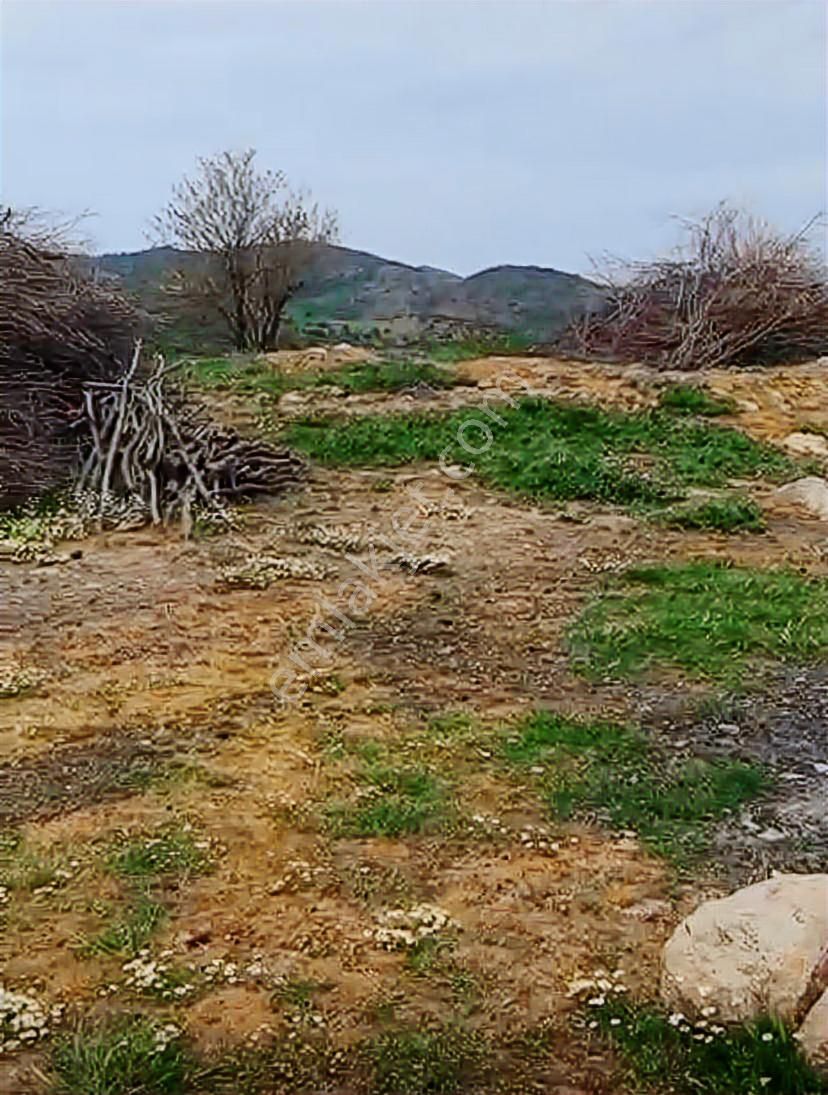 İzmir Dikili Demirtaş 2 Adet Yatırımlık Arsa - Görsel 2