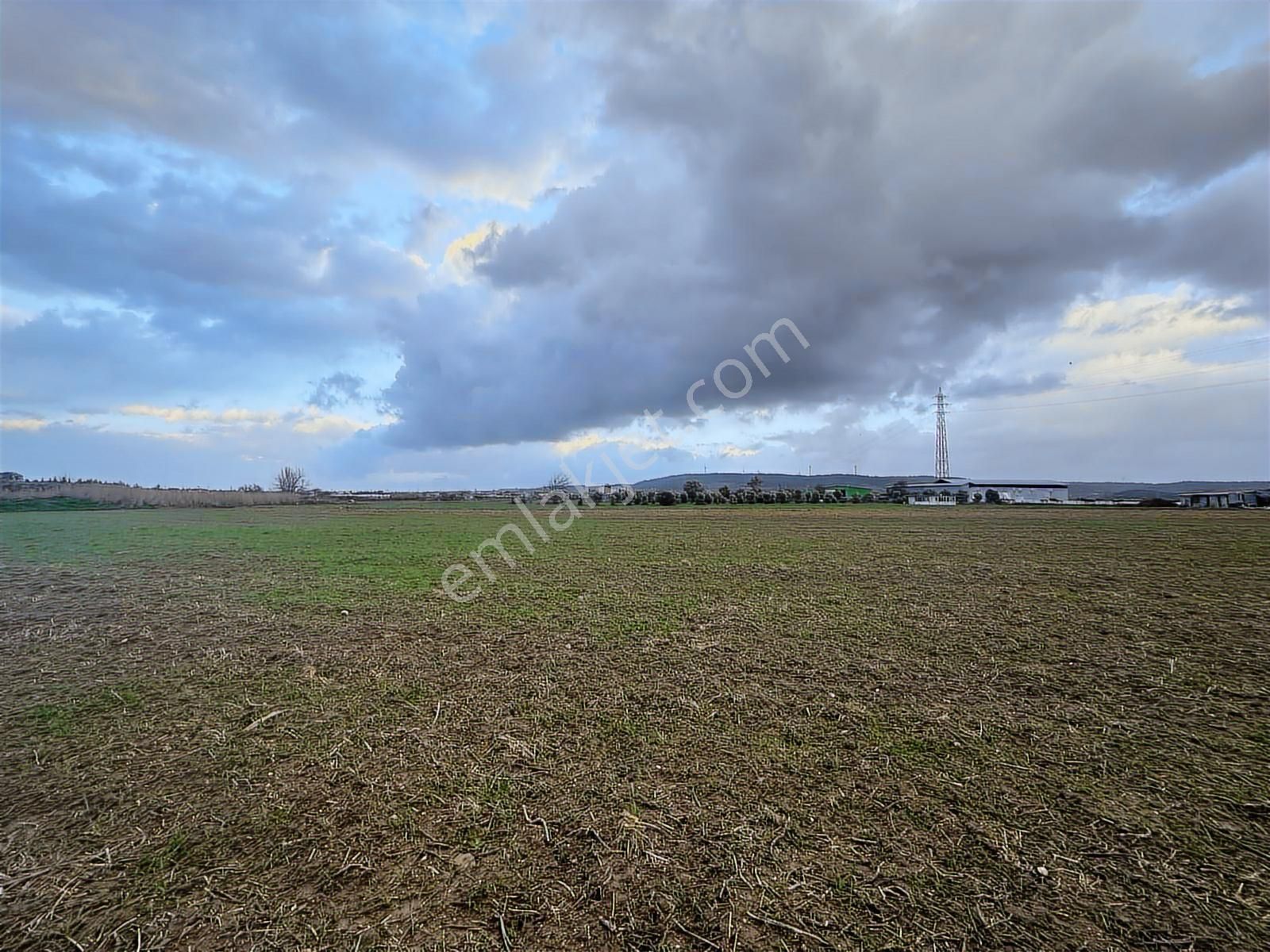 Urla Kuşçular Da 6907 M2 Satılık Tarla - Görsel 9