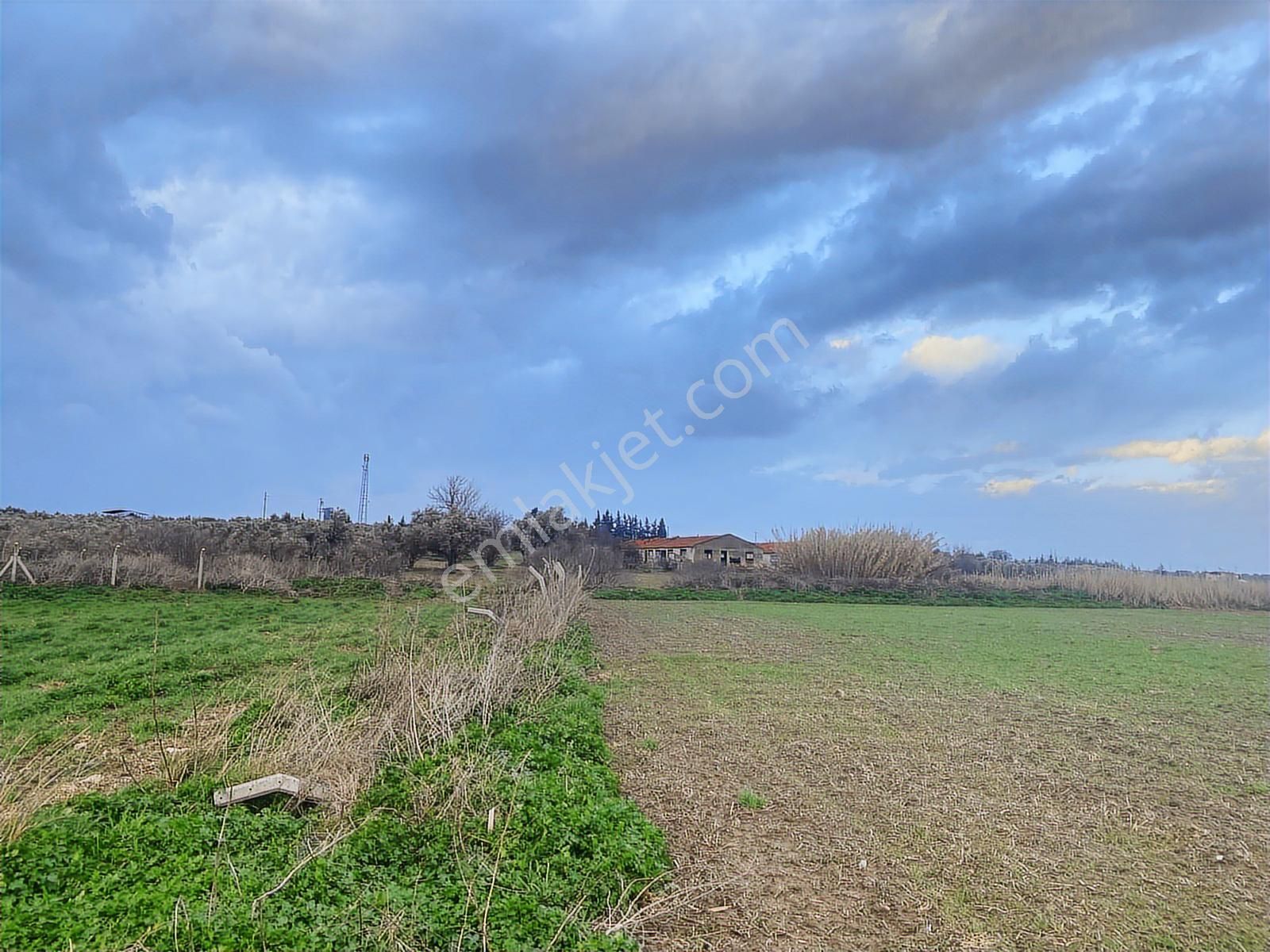 Urla Kuşçular Da 6907 M2 Satılık Tarla