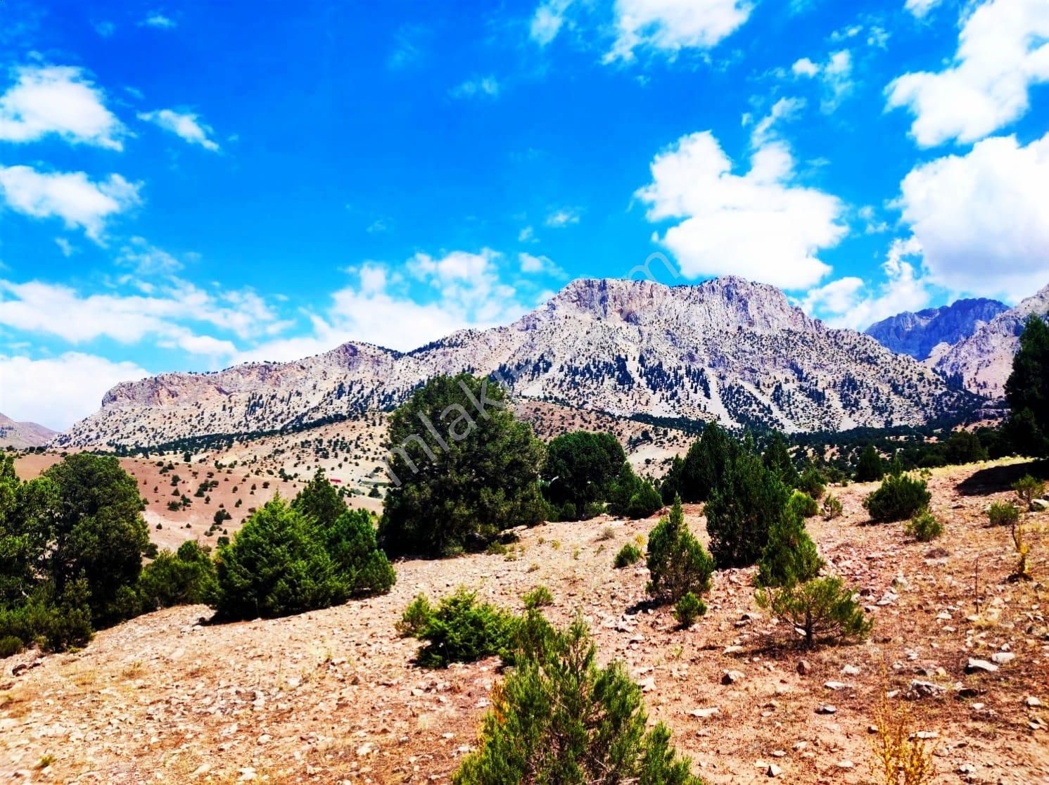 Kar Emlaktan Aşçıbekirli Fenese 400 M2 Satılık Arsa - Görsel 5