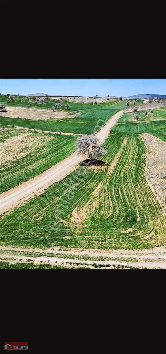 Burak Emlak'tan Konya Beyşehir Satılık Tarla - Görsel 4