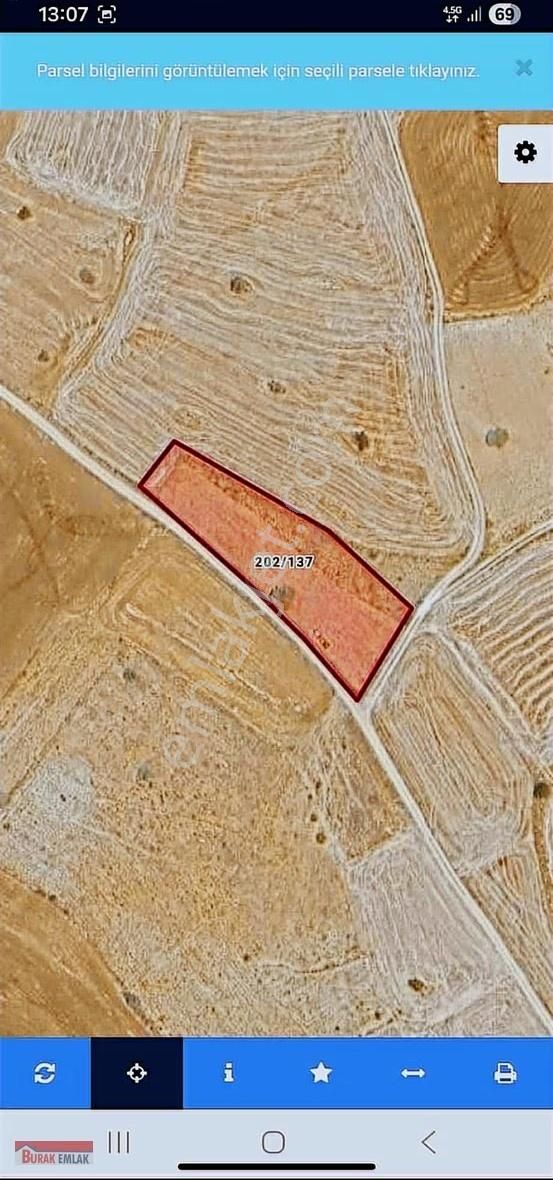 Burak Emlak'tan Konya Beyşehir Satılık Tarla